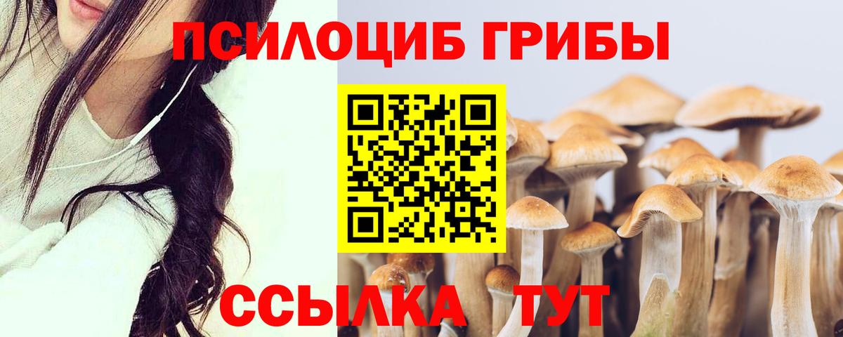 Галлюциногенные грибы мицелий Клинцы