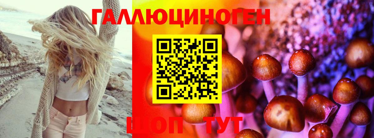 Галлюциногенные грибы Psilocybine cubensis  Вход с VPN  Клинцы 